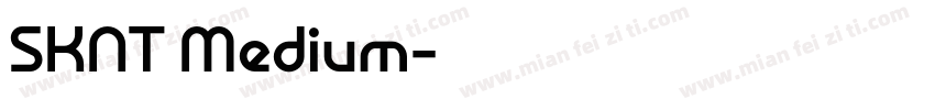 SKNT Medium字体转换